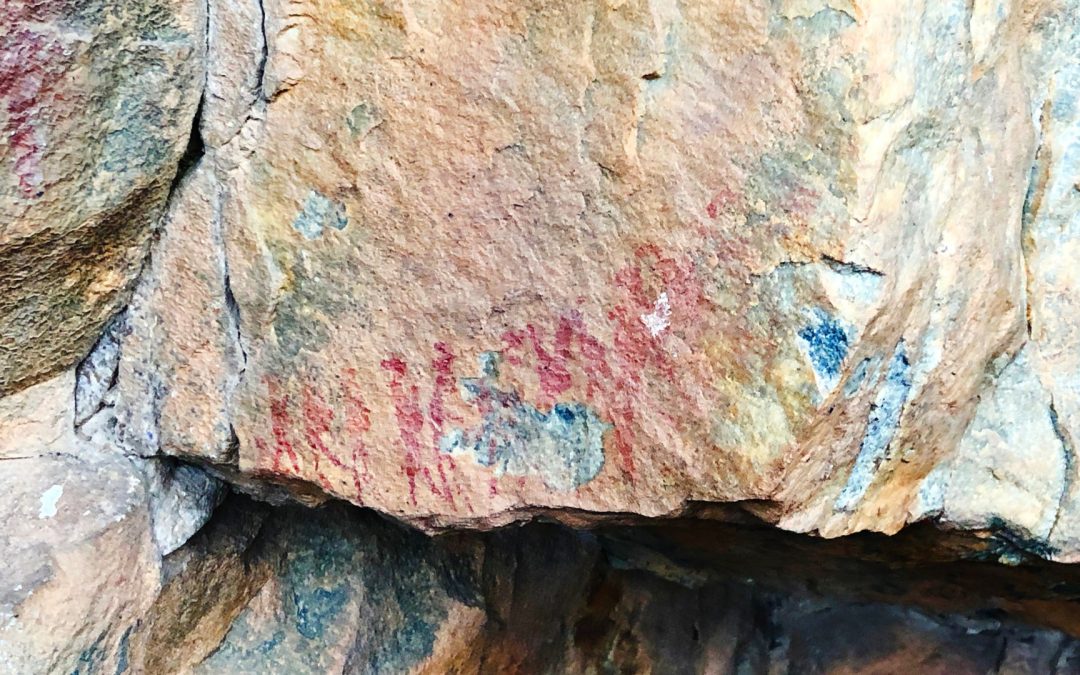 Cultural Significance and History of Rooibos Tea | khoisantea.net